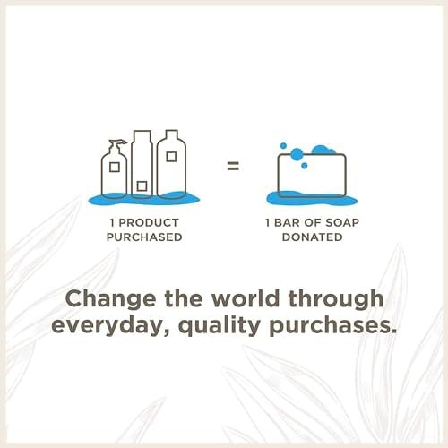 Juego De ChampĂș Y Acondicionador Soapbox Con Aceite De Coco,