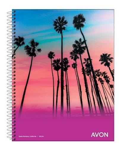 10 Cuadernos Universitarios A4 Avon Rayado O Cuadri.oferta!!