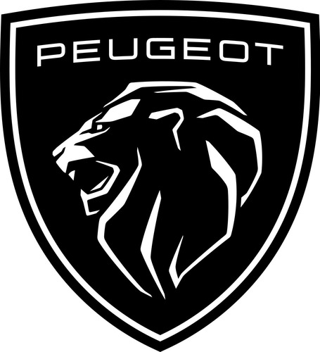 Peugeot 208 Particular Vende
