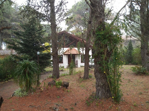 Casa En El Bosque Para 5 Personas