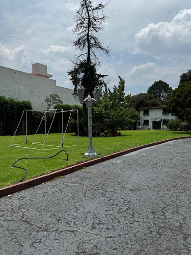 Magnifico Terreno