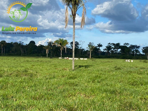 Imagem 3 de 5 de Fazenda À Venda Em Tucuruí - Pa - 2.420 Hectares P/lavoura De Soja - 1832