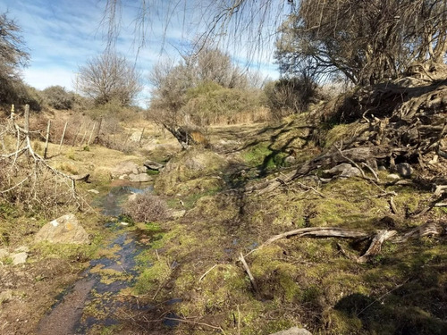 Imagen 10 de 17 de Campo De 100 Hectareas Con Casa En Tulumba, Provincia De Cordoba