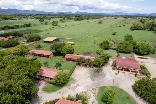Imagen 3 de 15 de Property For Sale!!! 20 Hectareas