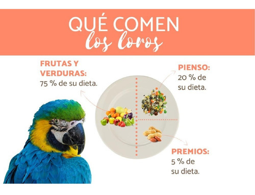 Imagen 5 de 6 de Mezcla Especial Loros Guacamayos Aves Union Pet 2kg