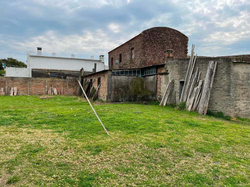 Local Comercial Y Aserradero En La Paz - Colonia - #245
