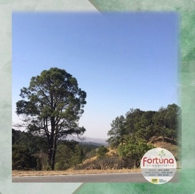 Imagen 1 de 1 de Hectárea De Terreno Comercial