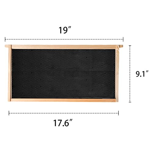Marcos Y Fundaciones Colmenas Hivesdeep O Brood Size, P...