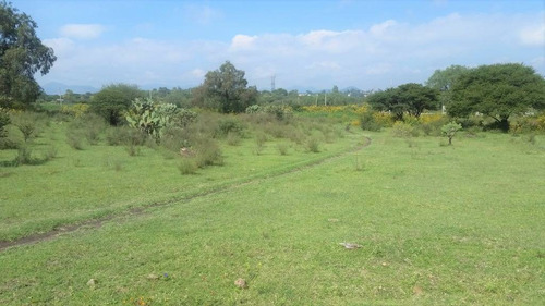 Imagen 2 de 5 de Venta De Terreno Tepeji Del Rio