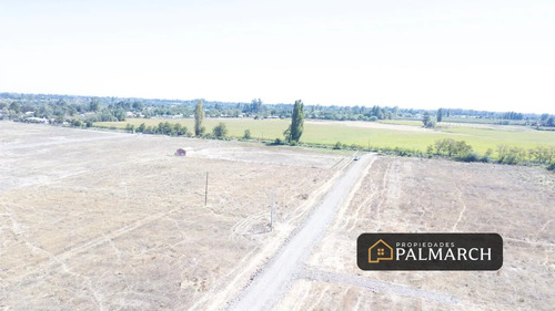Parcelas En Venta 5000m2 Camino A Cato Chillán