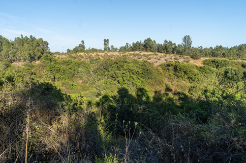Matanzas Terreno En Condominio Parque Reserva El Maitén