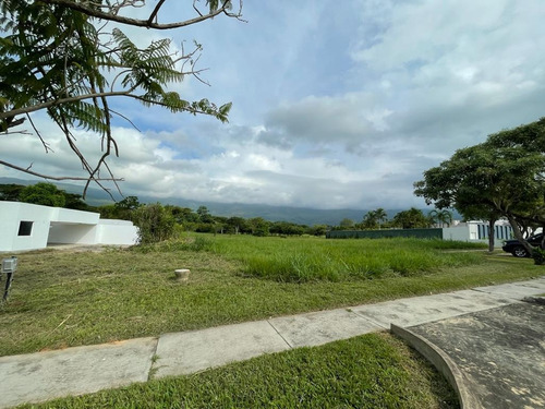 Imagen 3 de 14 de En Venta Terreno En Hato Royal