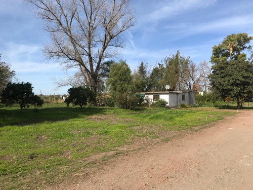 Imagen 27 de 30 de Terreno - Ibarlucea