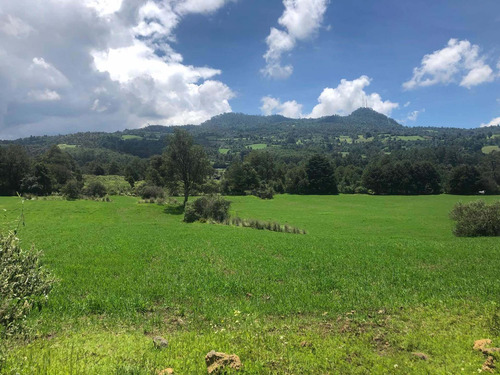 Imagen 5 de 13 de Gran Oportunidad Terreno Arenal Para Rancho