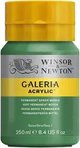 Comprar Winsor & Newton Galeria Acrylic Paint, 250ml Bottle, Permane