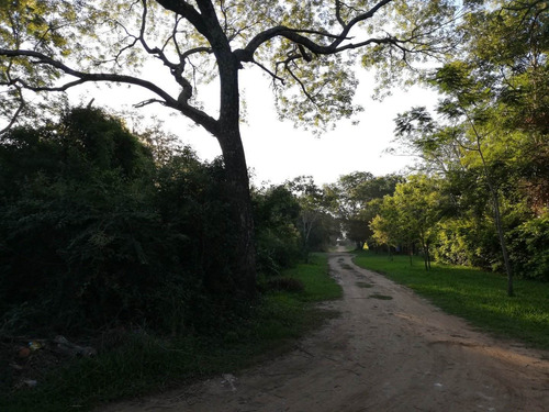 Imagen 6 de 13 de Gran Esquina Con Encanto Natural, Paso De La Patria