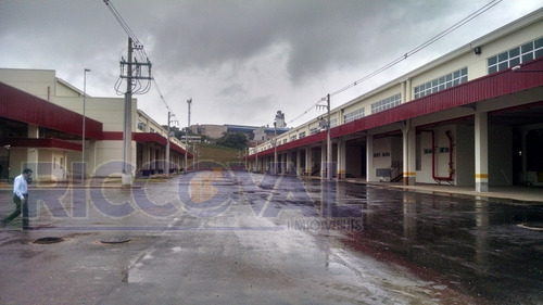 Imagem 2 de 9 de Galpão Em Cumbica - Guarulhos - 3651