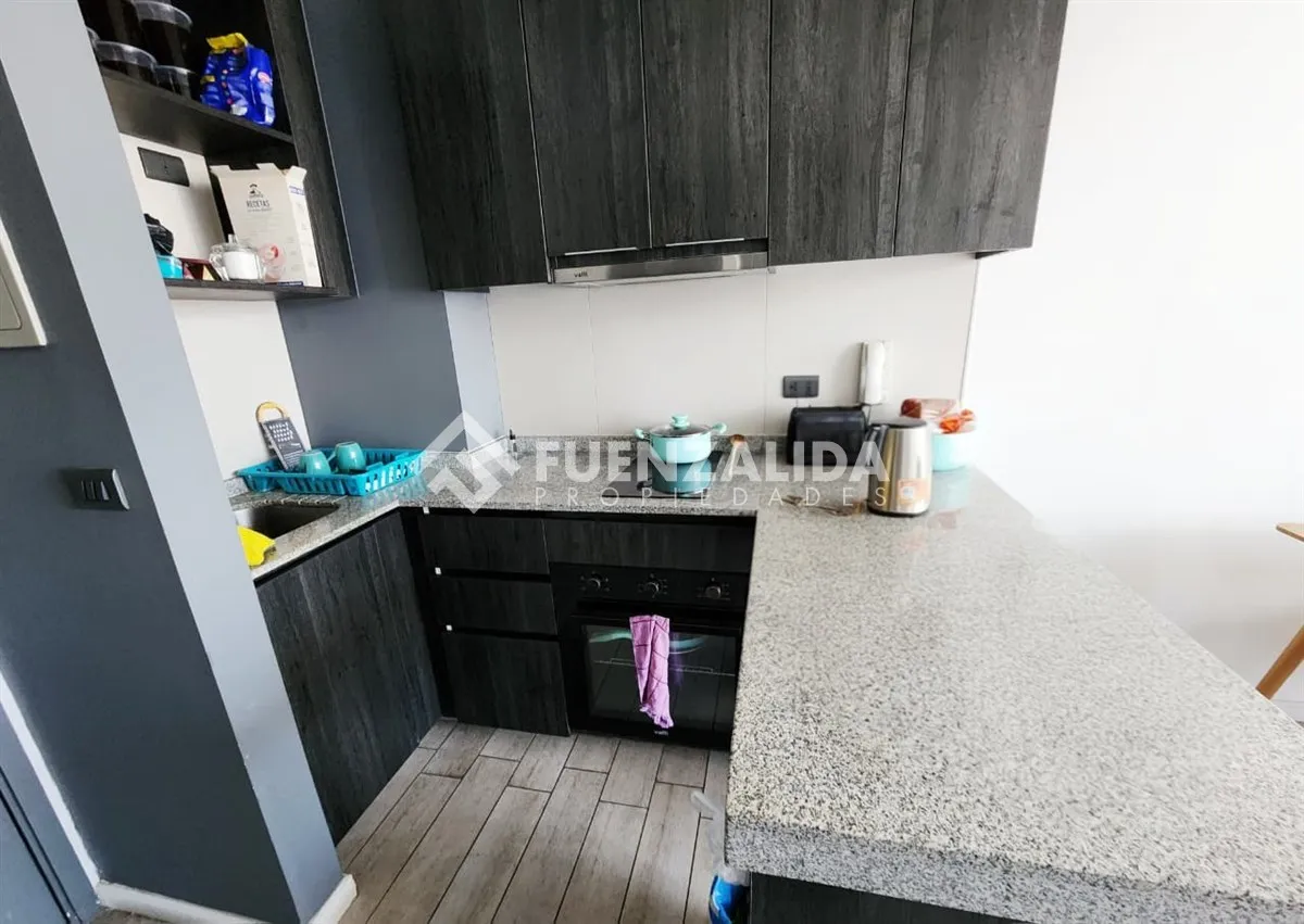 Imagen 3 de 15 de Venta Departamento San Miguel 29 Mt2 1d1b