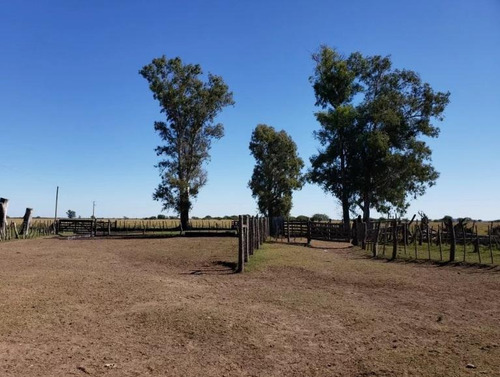 Imagen 8 de 9 de Terreno En Venta Entre Ríos