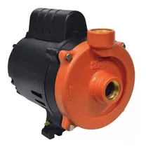 Comprar Bomba Centrífuga 1\u002F2cv Dancor Ultra Dc-4 220v C\u002F Motor Weg