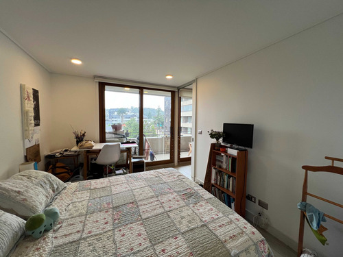 Arriendo Amoblado En El Centro De Puerto Vara (26384)