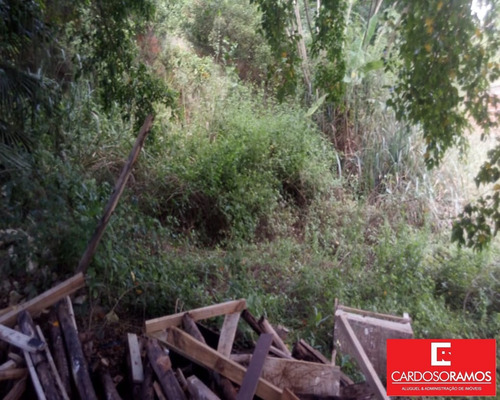 Imagem 6 de 12 de Terreno - Te00101 - 34058162