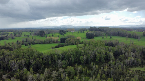 Campo En La Unión Cercano Al Lago Ranco 27,4 Hectáreas