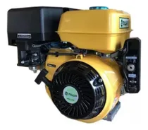 Comprar Motor Niwa 13hp Horizontal Mnw-130e Arranque Eléctrico