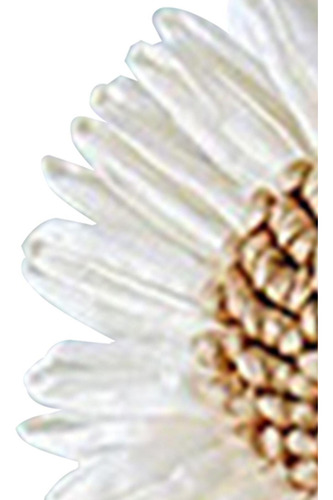 6 Anillo De Servilleta De Girasol, Hebilla De