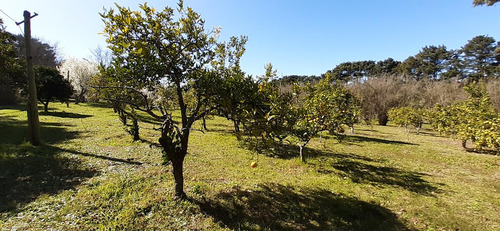 Fraccion De 8.1000 M² Parquizada Y Forestada
