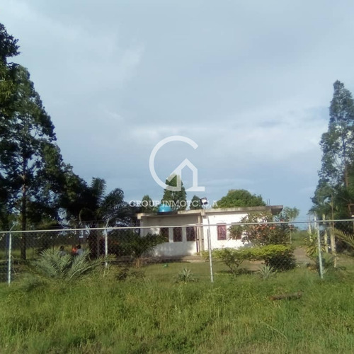 Imagen 5 de 5 de Group Inmotc Vende Terreno Vía Puerto Ordaz/ciudad Bolívar.