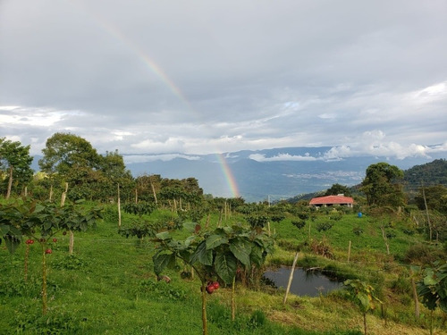 Imagen 10 de 29 de Vendo Finca En Subía Silvania 28.000 M2