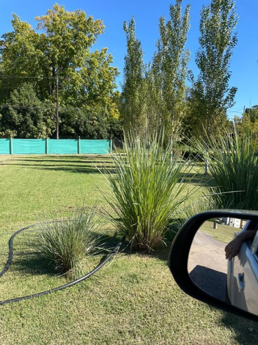 Imagen 5 de 6 de Terreno - San Ignacio