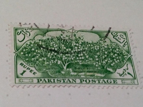 Estampilla Pakistan 1920 A1