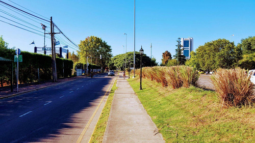 Imagen 15 de 29 de Departamento En El Emprendimiento Edificio Luis García 1021,