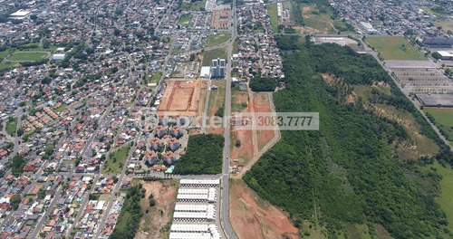 Imagem 2 de 7 de Terreno, 300 M², Igara - 218784