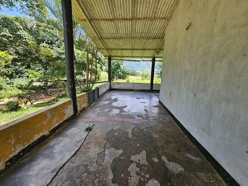 Sky Group Elite Vende Finca Agropecuaria Triple P Ubicada En Nirgua Sector Temerla Edo Yaracuy Consta De 49.7324mtrs2