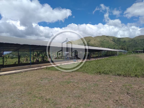 Granja Avicola En Venta 1.341mts2 + 3ha En San Francisco De Asis. 002jsc