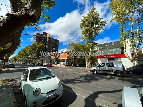 En Alquiler Local Comercial Céntrico Colonia Del Sacramento