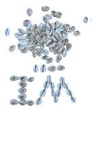 Comprar Buzios Caracoles X 1\u002F2 Kilos.