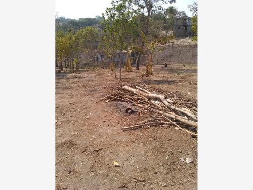 Imagen 2 de 6 de Terreno En Venta Cruz De Corazón