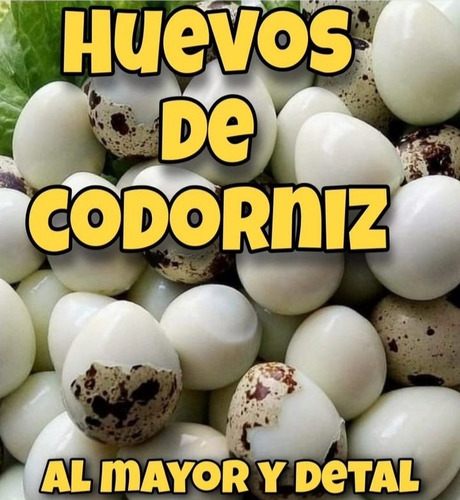 Huevos De Codorniz