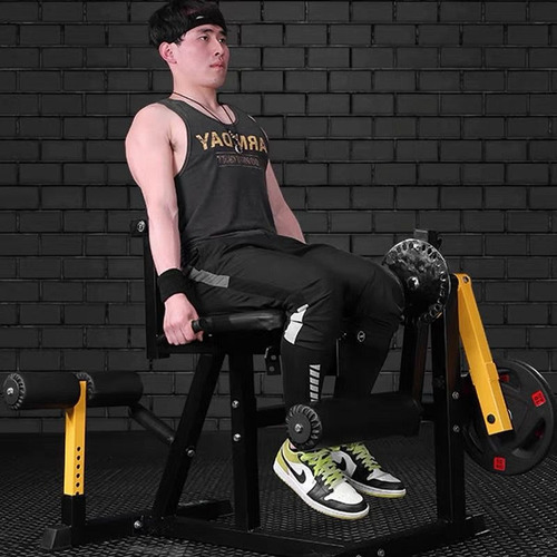 Cadeira Extensora E Flexora Exercit Para Anilhas Adking