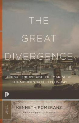 The Great Divergence : China, Europe, And The Making Of The Modern World Economy, De Kenneth Pomeranz. Editorial Princeton University Press, Tapa Blanda En Inglés