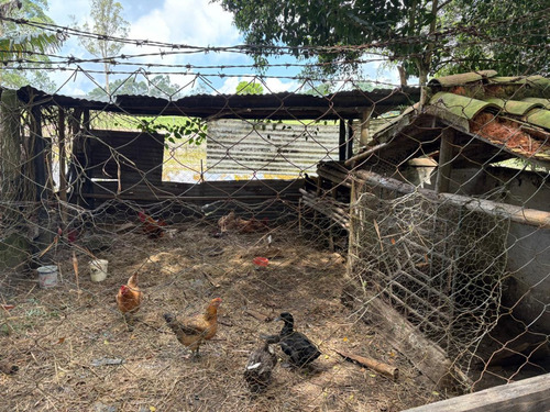 Venta Hermosa Parcela Cabaña Mesa De Los Santos