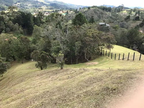 3 Lotes Alto De Las Palmas (desde 3.100m/4.200m Y 4.500m)