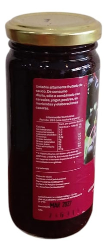 Dulce Regional De Sauco Dietético 260gr Frutas Del Sur