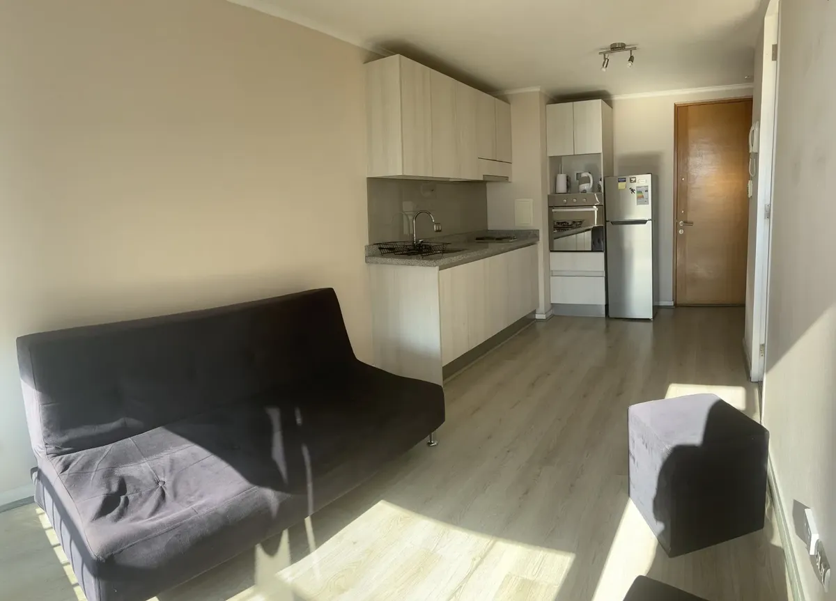 Imagen 2 de 11 de Iluminado Y Moderno Departamento En El Centro De Concepción