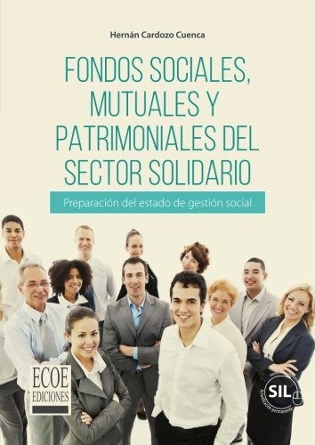 Libro Fondos Sociales, Mutuales Y Patrimoniales Del Sector S