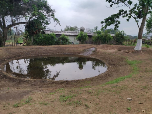 Finca En Bejuma Camino Verde